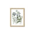 Picture of Blue Buds I _GroupedProduct_Rectangle_Portrait_Framed_Matted_
