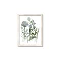 Picture of Blue Buds I _GroupedProduct_Rectangle_Portrait_Framed_Matted_