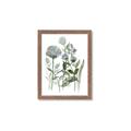Picture of Blue Buds I _GroupedProduct_Rectangle_Portrait_Framed_Matted_