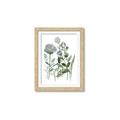 Picture of Blue Buds I _GroupedProduct_Rectangle_Portrait_Framed_Matted_