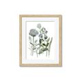 Picture of Blue Buds I _GroupedProduct_Rectangle_Portrait_Framed_Matted_