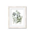 Picture of Blue Buds I _GroupedProduct_Rectangle_Portrait_Framed_Matted_