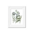 Picture of Blue Buds I _GroupedProduct_Rectangle_Portrait_Framed_Matted_