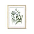 Picture of Blue Buds I _GroupedProduct_Rectangle_Portrait_Framed_Matted_