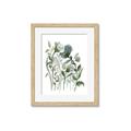 Picture of Blue Buds II _GroupedProduct_Rectangle_Portrait_Framed_Matted_