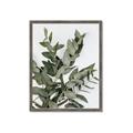 Picture of Sage Love _GroupedProduct_Rectangle_Portrait_Framed_Matted_