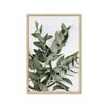 Picture of Sage Love _GroupedProduct_Rectangle_Portrait_Framed_Matted_