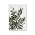Picture of Sage Love _GroupedProduct_Rectangle_Portrait_Framed_Matted_