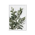 Picture of Sage Love _GroupedProduct_Rectangle_Portrait_Framed_Matted_