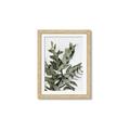 Picture of Sage Love _GroupedProduct_Rectangle_Portrait_Framed_Matted_