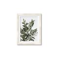 Picture of Sage Love _GroupedProduct_Rectangle_Portrait_Framed_Matted_