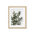 Picture of Sage Love _GroupedProduct_Rectangle_Portrait_Framed_Matted_
