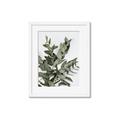 Picture of Sage Love _GroupedProduct_Rectangle_Portrait_Framed_Matted_