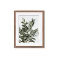 Picture of Sage Love _GroupedProduct_Rectangle_Portrait_Framed_Matted_