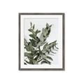 Picture of Sage Love _GroupedProduct_Rectangle_Portrait_Framed_Matted_