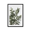 Picture of Sage Love _GroupedProduct_Rectangle_Portrait_Framed_Matted_