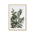 Picture of Sage Love _GroupedProduct_Rectangle_Portrait_Framed_Matted_