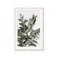 Picture of Sage Love _GroupedProduct_Rectangle_Portrait_Framed_Matted_