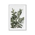 Picture of Sage Love _GroupedProduct_Rectangle_Portrait_Framed_Matted_