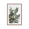 Picture of Sage Love _GroupedProduct_Rectangle_Portrait_Framed_Matted_