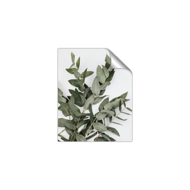 Picture of Sage Love _GroupedProduct_Rectangle_Portrait_Unframed_Print_Only_