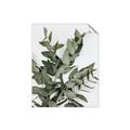 Picture of Sage Love _GroupedProduct_Rectangle_Portrait_Unframed_Print_Only_