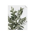 Picture of Sage Love _GroupedProduct_Rectangle_Portrait_Unframed_Print_Only_