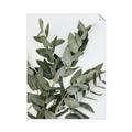 Picture of Sage Love _GroupedProduct_Rectangle_Portrait_Unframed_Print_Only_