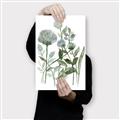 Picture of Blue Buds I _GroupedProduct_Rectangle_Portrait_Canvas_