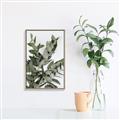 Picture of Sage Love _GroupedProduct_Rectangle_Portrait_Canvas_Framed_