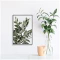 Picture of Sage Love _GroupedProduct_Rectangle_Portrait_Canvas_Framed_