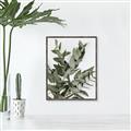Picture of Sage Love _GroupedProduct_Rectangle_Portrait_Canvas_Framed_