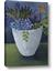 Picture of Violet Succulents
