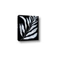 Picture of Fern Leaves I _GroupedProduct_Rectangle_Portrait_Canvas_