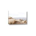 Picture of Foreshore _GroupedProduct_Rectangle_Landscape_Canvas_