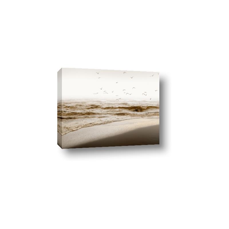 Picture of Fly Away _GroupedProduct_Rectangle_Landscape_Photography _GroupedProduct_Rectangle_Landscape_Canvas_