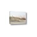 Picture of Seaside Grass _GroupedProduct_Rectangle_Landscape_Canvas_