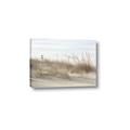 Picture of Seaside Grass _GroupedProduct_Rectangle_Landscape_Canvas_