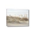 Picture of Seaside Grass _GroupedProduct_Rectangle_Landscape_Canvas_