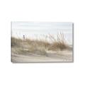Picture of Seaside Grass _GroupedProduct_Rectangle_Landscape_Canvas_