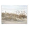 Picture of Seaside Grass _GroupedProduct_Rectangle_Landscape_Canvas_