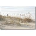Picture of Seaside Grass _GroupedProduct_Rectangle_Landscape_Canvas_