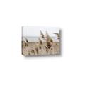 Picture of Windy Whisps _GroupedProduct_Rectangle_Landscape_Photography _GroupedProduct_Rectangle_Landscape_Canvas_