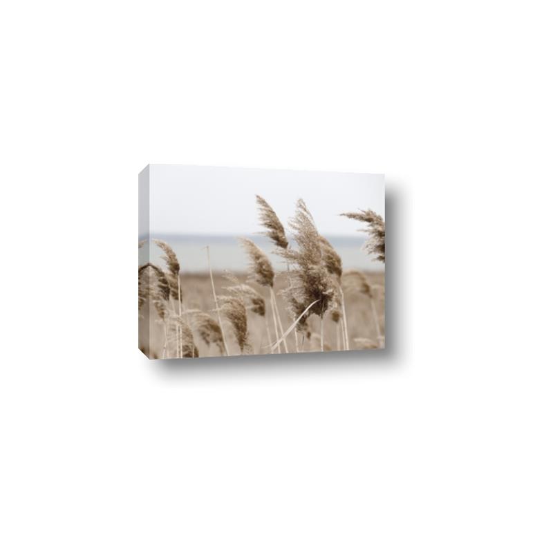 Picture of Windy Whisps _GroupedProduct_Rectangle_Landscape_Photography _GroupedProduct_Rectangle_Landscape_Canvas_