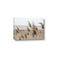 Picture of Windy Whisps _GroupedProduct_Rectangle_Landscape_Photography _GroupedProduct_Rectangle_Landscape_Canvas_