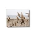 Picture of Windy Whisps _GroupedProduct_Rectangle_Landscape_Photography _GroupedProduct_Rectangle_Landscape_Canvas_