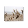 Picture of Windy Whisps _GroupedProduct_Rectangle_Landscape_Photography _GroupedProduct_Rectangle_Landscape_Canvas_