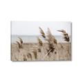 Picture of Windy Whisps _GroupedProduct_Rectangle_Landscape_Photography _GroupedProduct_Rectangle_Landscape_Canvas_