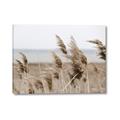 Picture of Windy Whisps _GroupedProduct_Rectangle_Landscape_Photography _GroupedProduct_Rectangle_Landscape_Canvas_