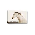 Picture of White Beauty _GroupedProduct_Rectangle_Landscape_Photography _GroupedProduct_Rectangle_Landscape_Canvas_